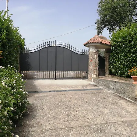 Picerno * Santa Maria Del Cedro